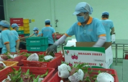 Vietnam, India see huge export potential ahead for farm produce