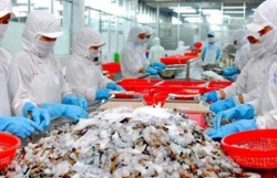 Seafood exports anticipated to enjoy increase ahead in final quarter