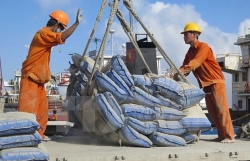 Cement and clinker exports skyrocket over past decade