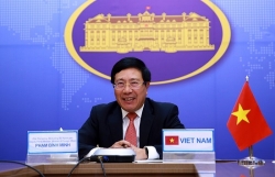 Vietnamese, Malaysian foreign ministers hold online talks