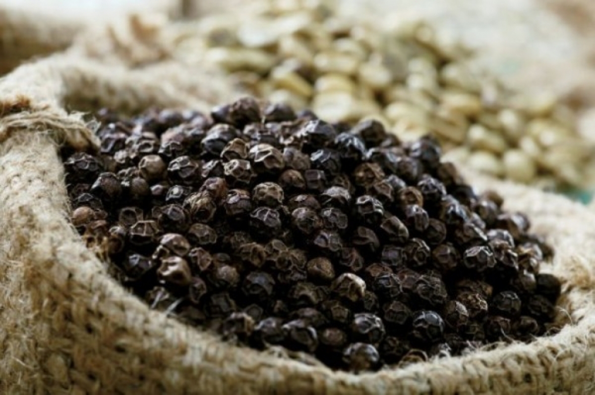 Black pepper accounts for up to 90% of Vietnam's total pepper exports