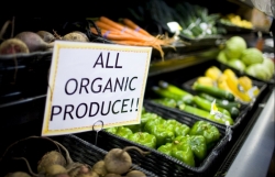 Vietnam strives to increase organic agricultural produce exports