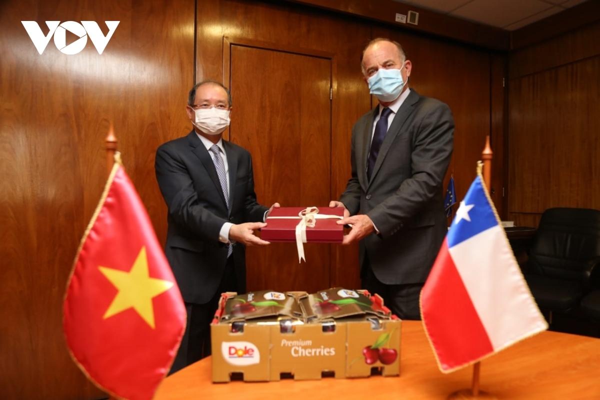 Vietnamese Ambassador Nguyen Ngoc Son (R) and Chilean Agriculture Minister Antonio Walker