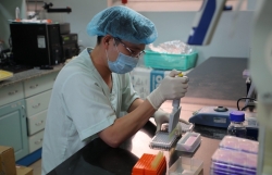 Vietnam starts COVID-19 vaccine trials on monkeys