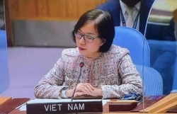 Universalization of  vaccine needed for COVID-19 combat in new normal: Vietnamese diplomat