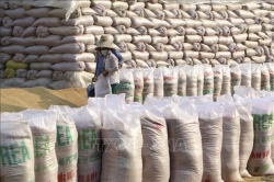 136,000 tonnes of rice allocated to pandemic-hit localities