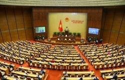 National Assembly discuss economic recovery measures