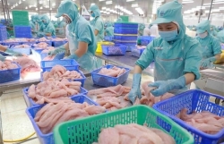 Vietnam’s aquatic product exports projected to reach 8.4 billion USD