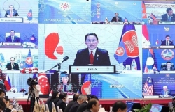 Vietnam pledges more contributions to ASEAN - Japan relations