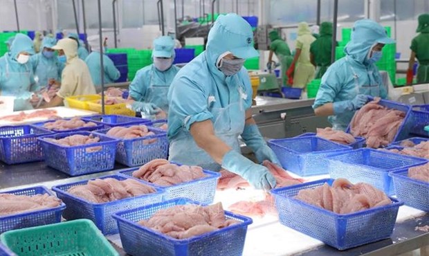 Export value of aquatic products up 38% in nine months hinh anh 1