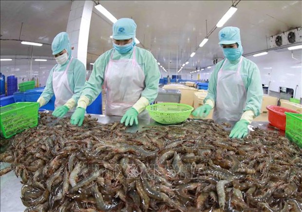 Export value of aquatic products up 38% in nine months hinh anh 2
