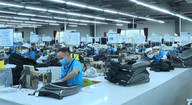 Management level of Vietnamese enterprises still low: experts hinh anh 1