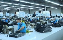 Management level of Vietnamese enterprises still low: experts