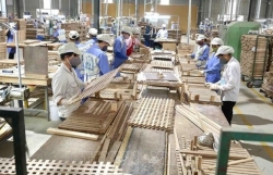 Vietnam should make most of ‘golden time’ to boost exports to EU: diplomat