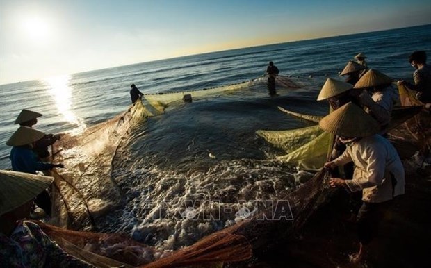 Removal of fishing “yellow card” an urgent task: Deputy PM hinh anh 1