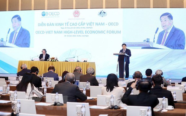 OECD-Vietnam High-Level Economic Forum opens hinh anh 1