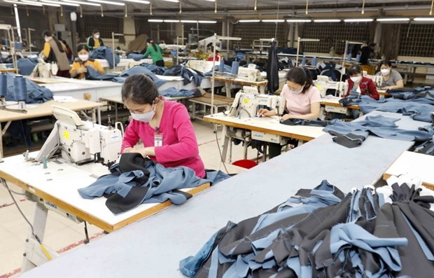 Textile and garment sector bears the brunt of global uncertainties hinh anh 1