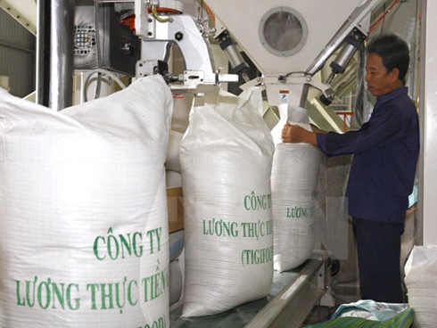 chinese importers survey an giangs rice market