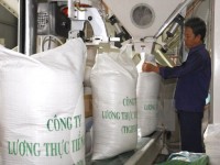 Chinese importers survey An Giang’s rice market