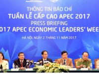 All preparations for APEC 2017 now completed: Deputy FM
