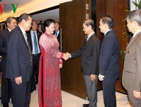 Top Vietnamese legislator meets Singaporean businesses