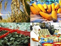 Agro-forestry and fishery exports hit US$32.6 billion over 10 month span