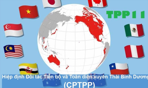 cptpp creates high pressure for institutional reform in vietnam