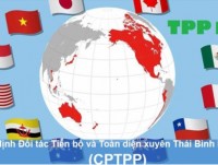 CPTPP creates high pressure for institutional reform in Vietnam