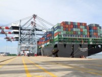 High logistics costs hinder Vietnam’s economic growth