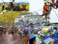 Vietnam businesses sanguine of international trade prospects