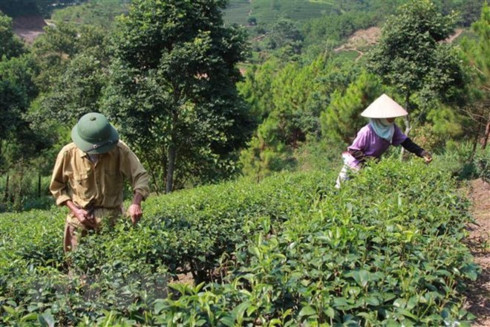 vietnam targets effective oda use management