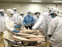 VASEP talks about EP fisheries committee’s IUU fact-finding tour