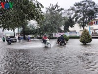 HCM City"s streets inundated by downpours