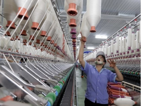 vietnam india eye textile co operation