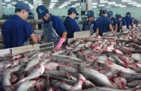 Vietnam to face tough competition from India in tra fish exports