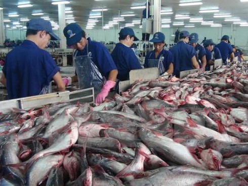 vietnam to face tough competition from india in tra fish exports