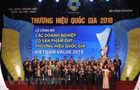 Vietnam’s national brand valued at 247 billion USD