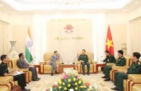Vietnam, India strengthen defence links
