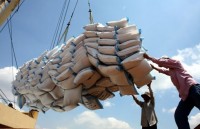 Rice exports set to reach 6.5 million tonnes during 2019