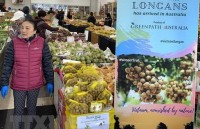 Long journey of Vietnamese fruits to Australia