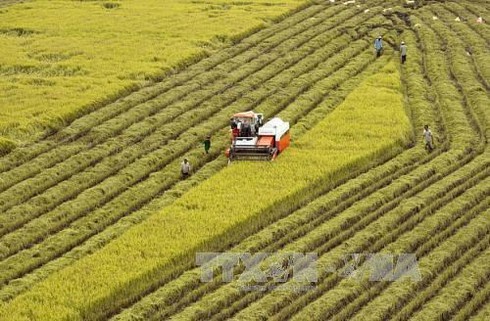 agricultural sector gains trade surplus of 88 bln usd in 11 months