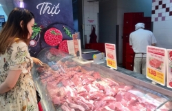Vietnamese pork imports witness surge of 460%