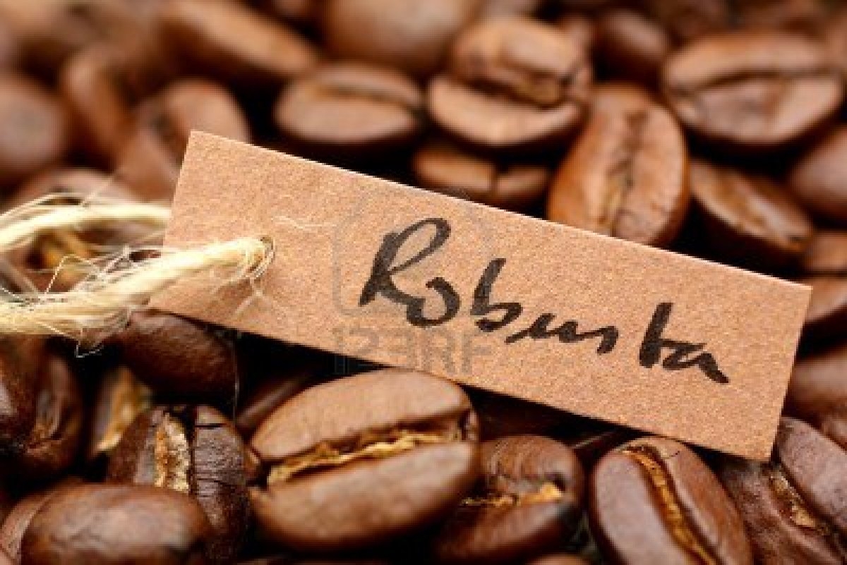 Robusta coffee exports to some demanding markets see robust growth during a nine-month period