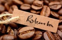 Coffee exports suffer decline over ten months
