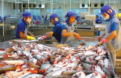 Tra fish exports eye US$1.5 billion turnover this year