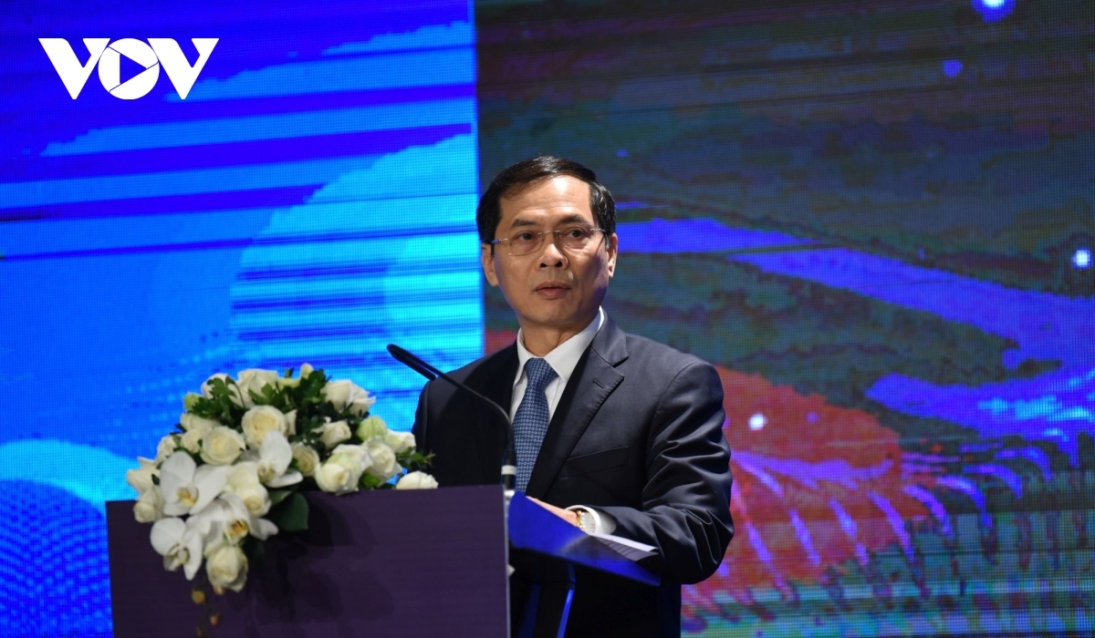Deputy Foreign Minister Bui Thanh Son speaks at the conference