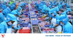 Seafood exports fail to meet this year"s export target of US$10 billion