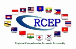 Businesses advised to improve knowledge to optimize chances from RCEP