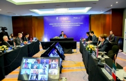Vietnam hosts virtual UNSC meeting of E10-I5 members