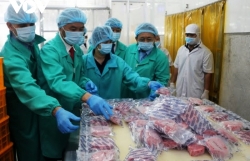 Vietnamese tuna exports to EU record impressive growth